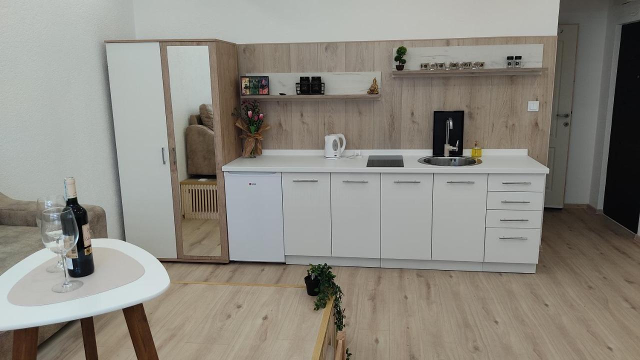 Studio Apartment - A Bit Of Joy Sarajevo Luaran gambar